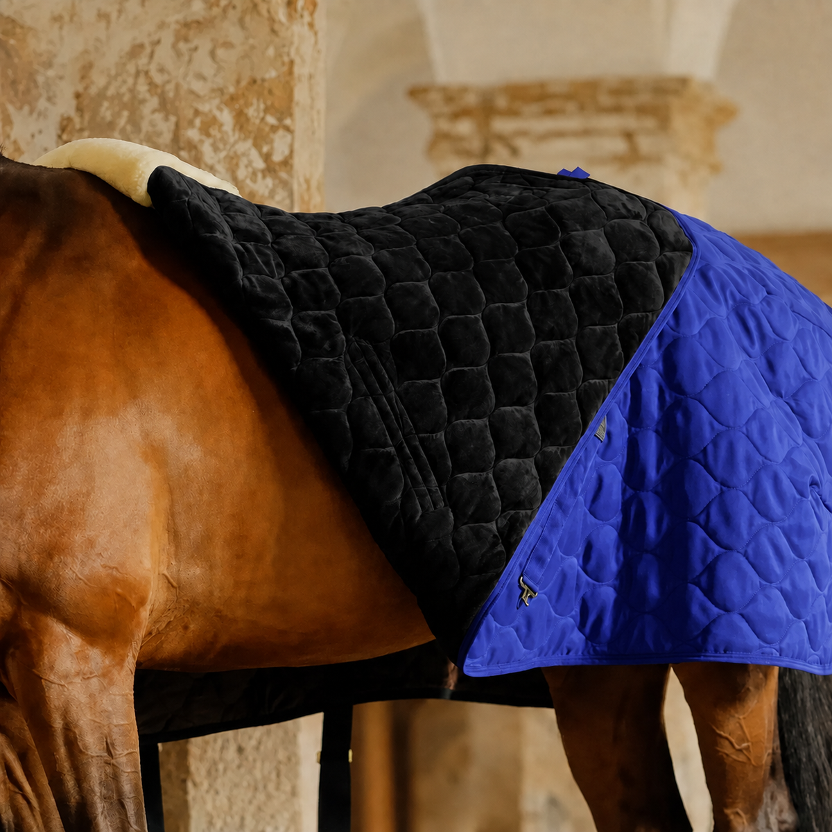 Riada Kentucky rug black lining and royal-blue outer